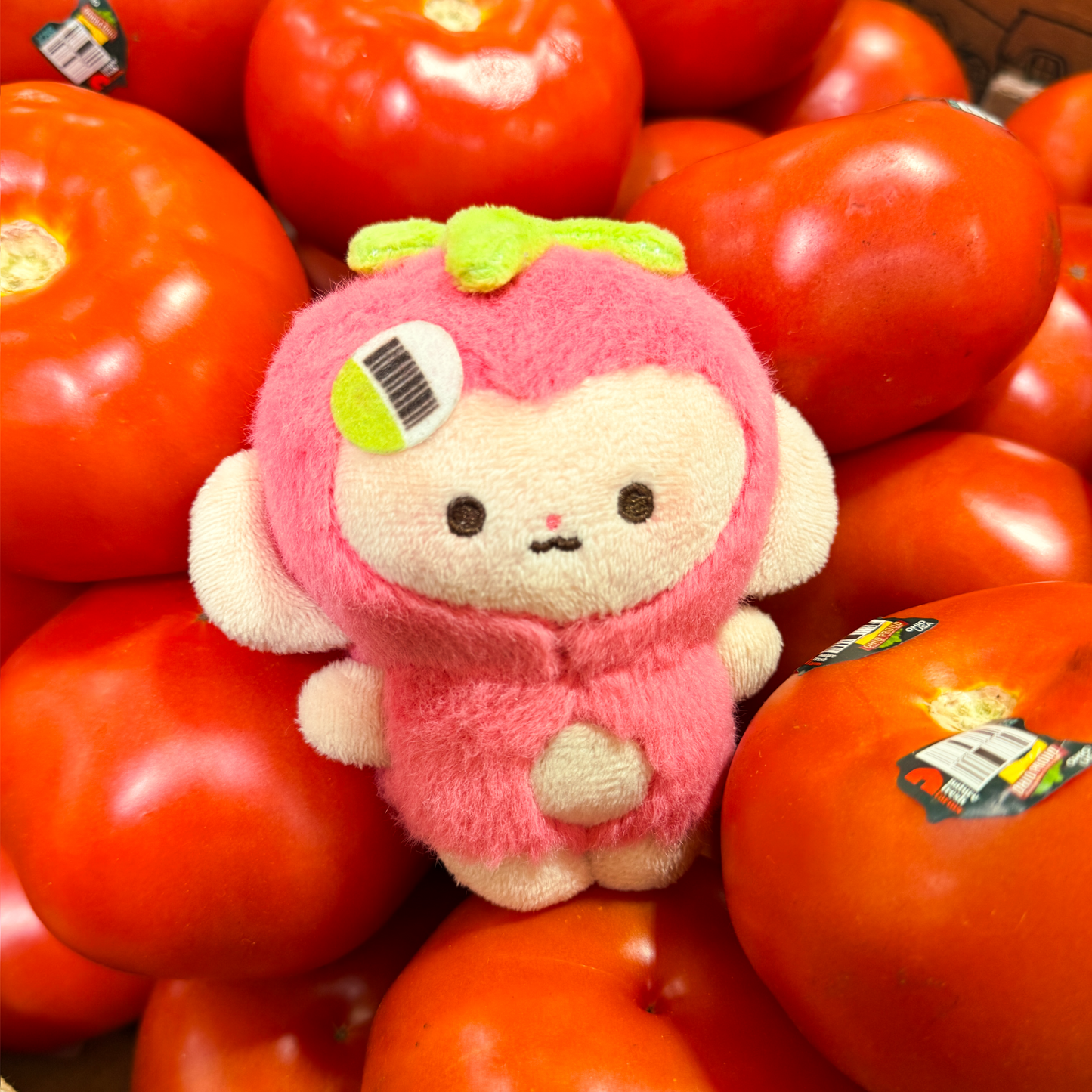 Banjo the Tomato Monkey Plush